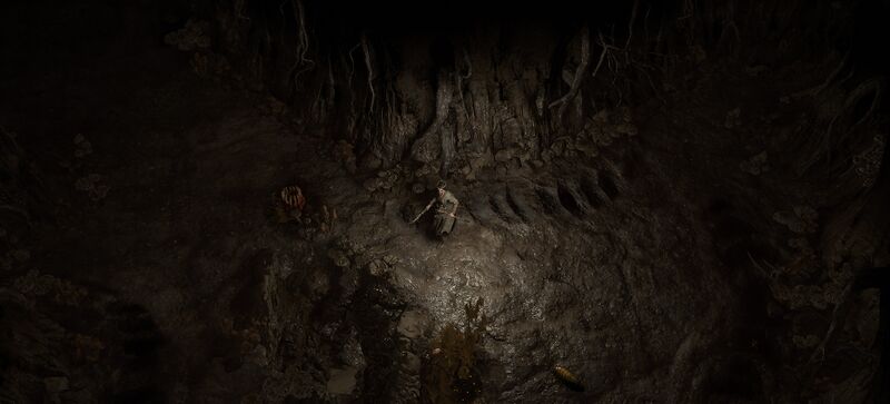 File:Mud Burrow area screenshot.jpg