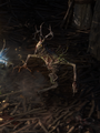 Thumbnail for version as of 06:18, 20 September 2025
