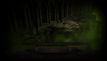 Thumbnail for version as of 07:49, 1 September 2025