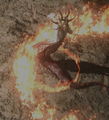 Thumbnail for version as of 22:43, 12 December 2024